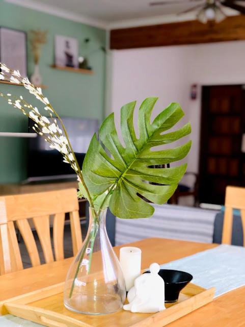 דורבן Danville Forest Guest House & Apartments מראה חיצוני תמונה
