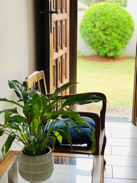 דורבן Danville Forest Guest House & Apartments מראה חיצוני תמונה
